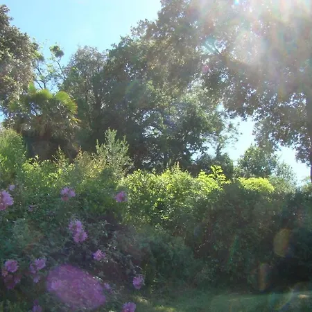 펜션 Maison Dans Falaise Face A L'estuaire De La Gironde