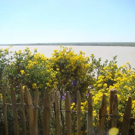 Maison Dans Falaise Face A L'estuaire De La Gironde *