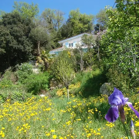 Maison Dans Falaise Face A L'estuaire De La Gironde Holiday home Gauriac